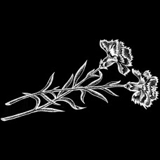 Гравировка Цветы #105